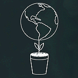 Clean Energy (SC427)